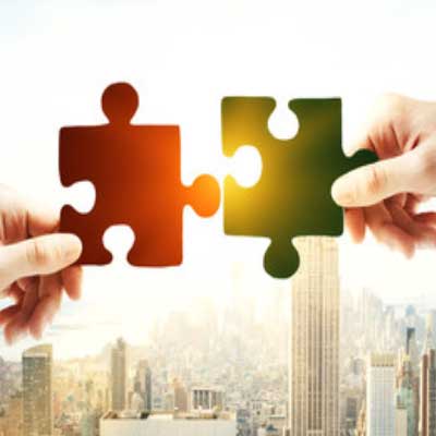 Professional partner